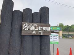 先を急いで旭山動物園に来ました。

駐車場は1台500円。

ナビの案内だと西門の駐車場に到着しました。

旭山動物園
https://www.city.asahikawa.hokkaido.jp/asahiyamazoo/index.html