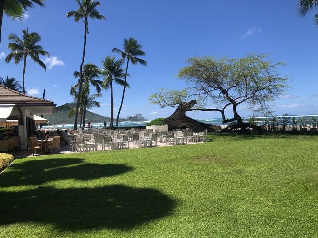 オーキッズからの眺めです。<br />