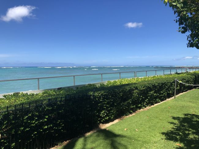 2年前は、雨だったので、青空がいいですね。<br />