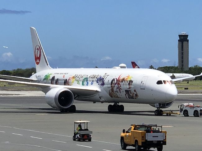 「ARASHI HAWAII JET」です。<br />我々の搭乗口であるＤ２に停まっていたため、社員は喜んでいましたが、あれは関西空港行です。残念！！<br /><br />