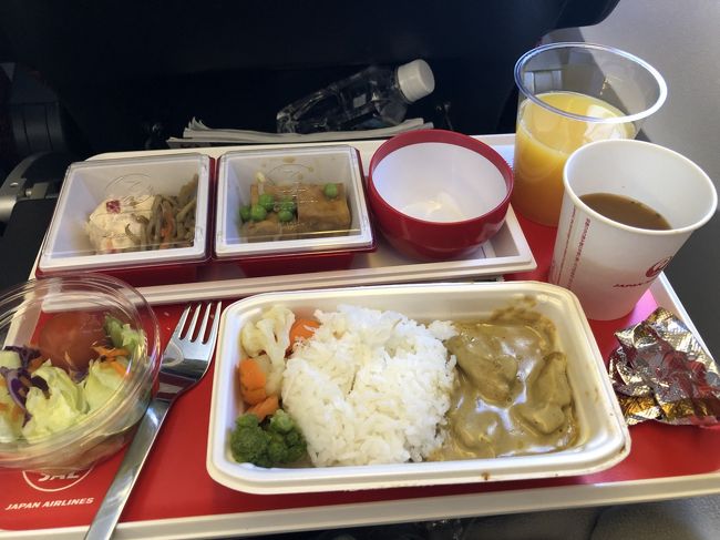 予定通りに出発です。１食目の機内食です。