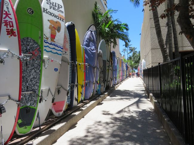 ホテルに戻る途中、「Foot Locker」でジョギング用の帽子を 購入です。<br />日差しが強いのですが、この時間しかジョギングする時間がありません。<br />ホテルでジョギングウエアーに着替え、ジョギング出発です。まずは、ビーチに向かいます。<br /> 