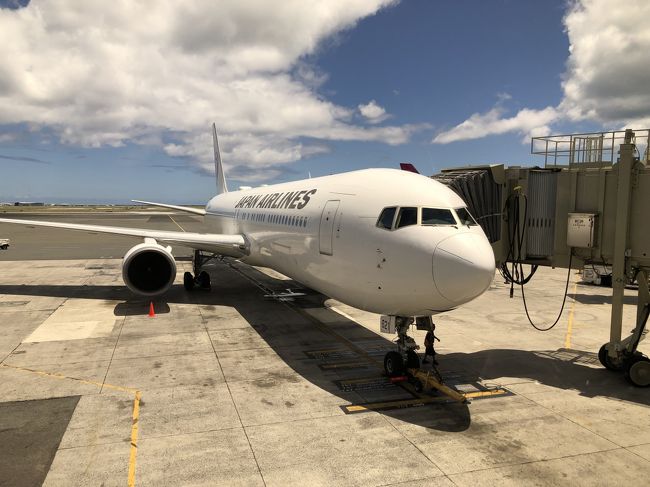 これが我々が搭乗する飛行機です。<br />