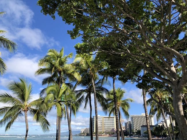 帰りたくなくなります。