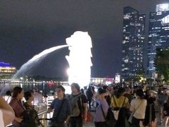 この日の夜は、シンガポールのバスツアーに参加します。まず夜のマーライオン見学。