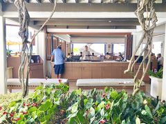 ハレクラニ到着ー。この時点で13時半。

まだ寝たりない息子を起こして、フロントでチェックイン手続き。部屋が用意できたら電話するね、と言われたのでホテル内をぶらぶらしながら時間をつぶします。 