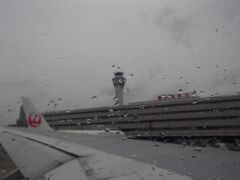 羽田空港は雨でした。

飛行機を降りて出口に向かって歩いていると、空港ターミナルには多くの報道陣が待ち受けていました。
何だろうと思っていると、この時点での"時の人"／籠池氏が国会での参考人招致のために同じ便に乗っていたようです。
この日の夜のニュースを見ていると、JOECOOLがチラッと映っていました（笑）。