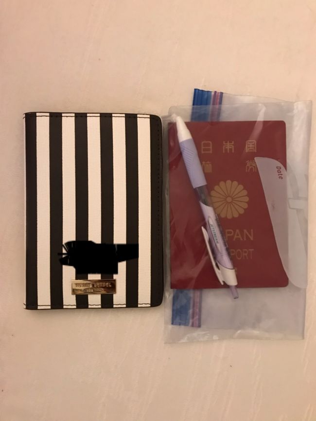 全商品オープニング価格！ ヘンリベンデル ざれ パスポートケース 旅行かばん・小分けバッグ