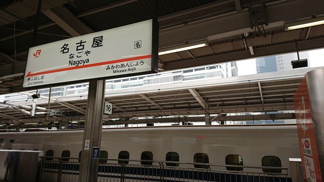 往復　新幹線利用