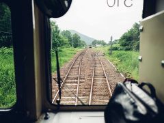 すれ違いができる駅にようやくやって来た。ここで下り列車と行き違いをする。なんだか山の中でほかの登山客にあったような気持ちだな。