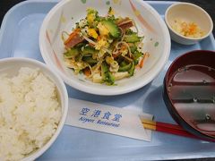 沖縄最後の食事は定番の空港食堂です。ゴーヤチャンプルーです。
