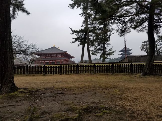 中金堂があるとやはりいい風景ですね