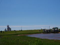 またまた車で３０分ほど東に走ると二つ目の灯台「ウッドアイランズ灯台」に到着。

前回はこっちまで歩いてきて景色を眺めたりしたけど、今日はちょっと手抜きして。