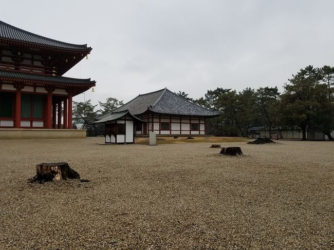 中金堂が完成するまでの仮のお堂であった仮講堂