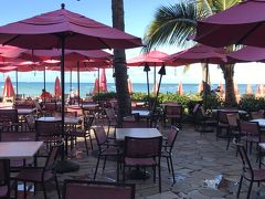 ピンクが可愛い。
ハワイって感じ。