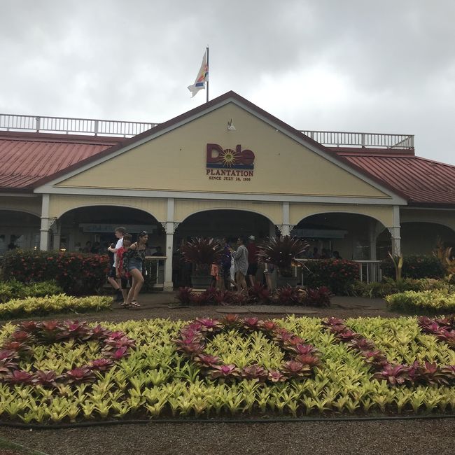 まずはドールプランテーション。<br />30分ぐらい時間がありお土産を探したりした。パイナップルソフトを食べてる方も多かった。