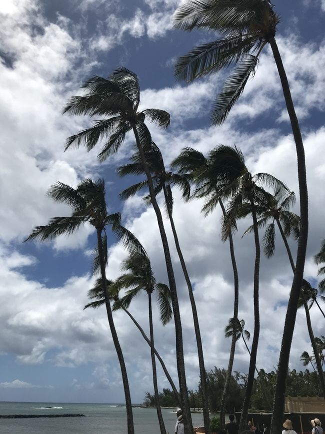 バスに乗ってハレイワビーチへ。<br />10分停車。写真タイム。