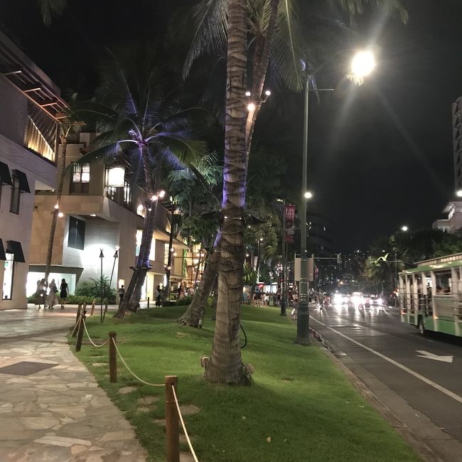 昼間とまた違う景色。