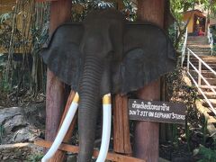  MAESA ELEPHANT CAMP ・ メーサーエレファントキャンプ: 
象の調教から保護までを担う場所です。

 入場料 : 250THB   

象に乗りたい場合は、入場料を払う時に予約します。
→15分象乗りコース : 800 THB   象1頭に、2人まで乗ることができます。

 象乗り体験は、15分コース～  。  
私は15分でも大満足でした。短いって言う感じはありませんでした。