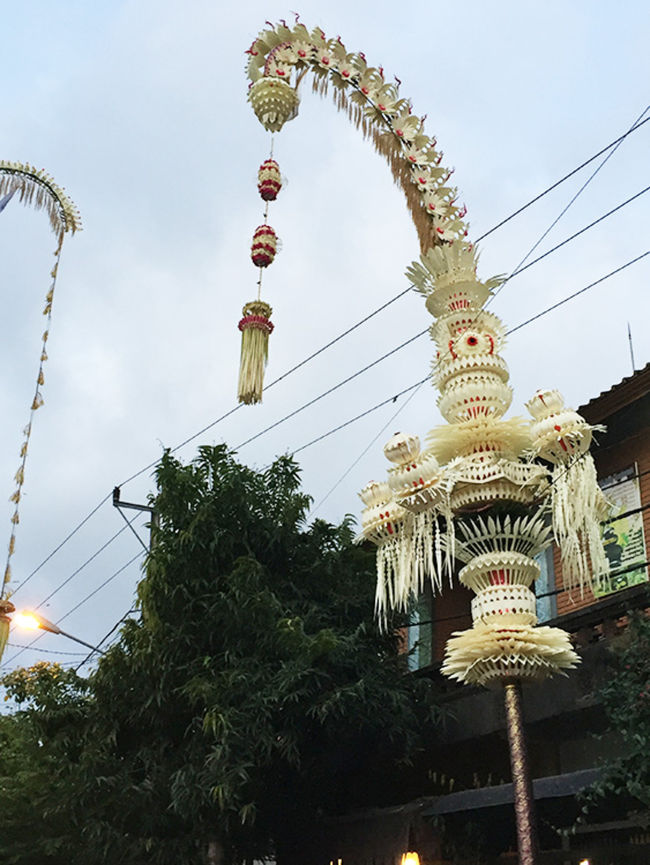 華やかなペンジョール