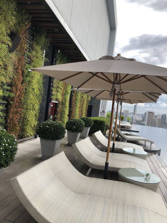 プールには入れなかったけどたくさん眺められたので良し◎