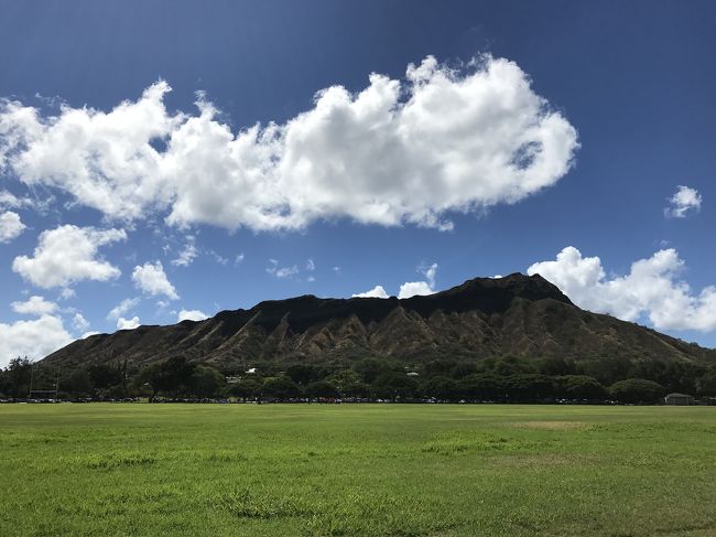 でもこれが正解！こーんな広い場所を貸しきり！！<br />走ったり～飛んだり～靴や帽子を飛ばしたり～寝転んだり～～<br />年賀状用の良い写真が撮れました^^