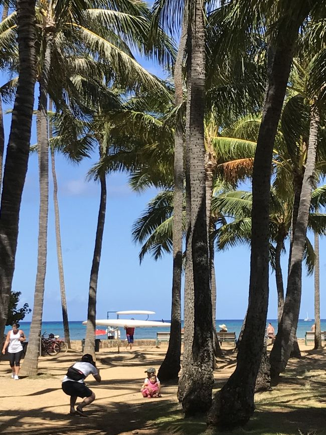 食後はまたもやテクテク歩いてもどります。本当は入院事件がなかったら、旅行中ずっとレンタカーで回る予定で、ここも車で来る予定でしたが、レンタカーキャンセルしたので、とりあえずホテルへもどります。