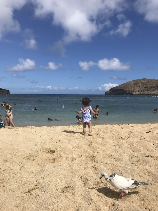 しかし、、<br />上から見るとキレイな海だったのに、<br />ビーチまで来ると、日本海？な感じ^^;<br /><br />ここでランチを食べて～<br />その後、2時間ほどプカプカしました^^