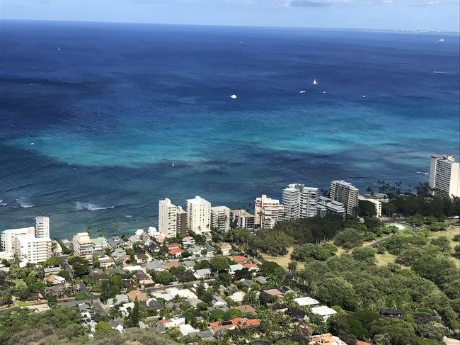 キレイな色だなぁ☆