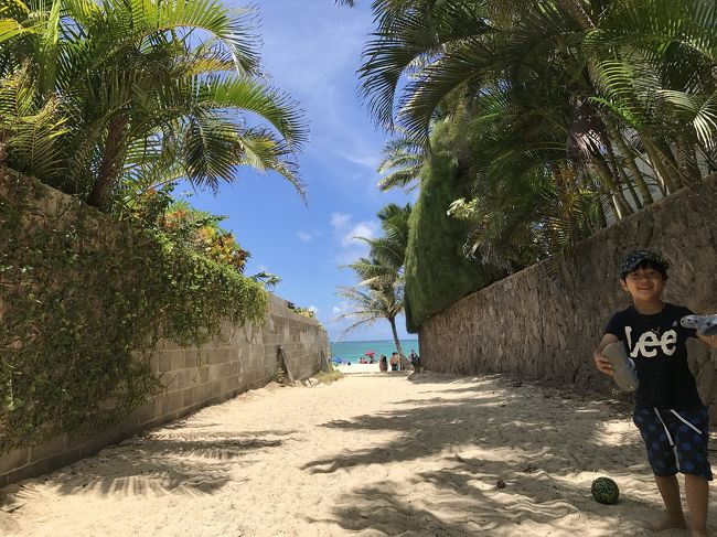 そーしーて、、<br />カイルアのターゲットで子供の下着や水着をお買物したあと、<br />ラニカイビーチへやってきました！<br />ラニカイ5番目の小道かな？<br />この近くの広場の隣は駐禁が取られない道があるので<br />車はそちらに停めました☆