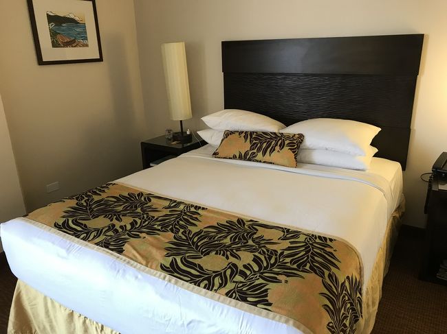 ベッドはこれ１つ。<br />寝返りは不可なぐらいきっつきつで寝てました^^