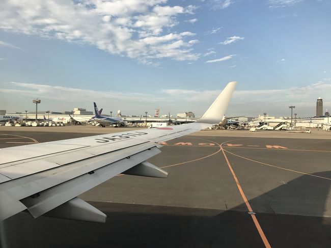 そして13:55に成田着。<br />バスで隣のターミナルに移動して、、<br />16:55成田発JL3005にて伊丹空港へ戻りましたー