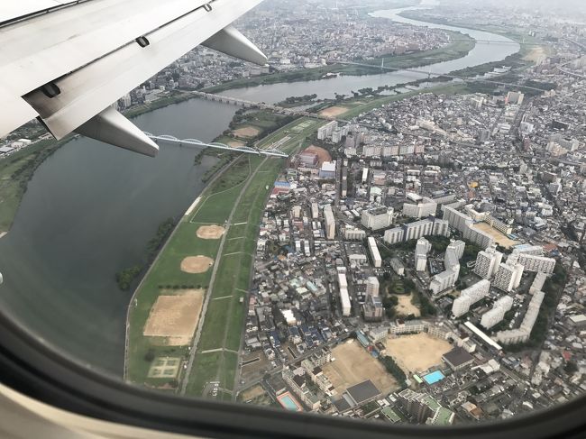 伊丹着陸の3,4分前です。<br />下に写っているのは淀川です。<br />そしてママの実家も写っています^^<br /><br />18:10、無事伊丹空港に到着しました♪<br /><br />出発直前に入院となり、どうなることやと思いましたが、<br />無事に行けて、元気に帰ってこれて良かったです^^<br />子供と一緒のハワイ、本当最高でした～!!