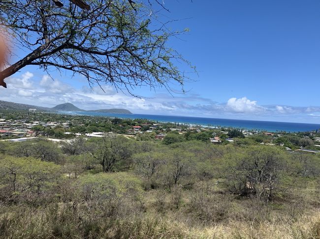 駐車場を出発して、ちょっとくだった所で運転手さんから写真撮影タイム5分と言われ、トローリーが停車してので、急いで降りて撮影しました。<br />5組ほど乗客がいましたが、降りたのは自分達だけでした(^_^;)