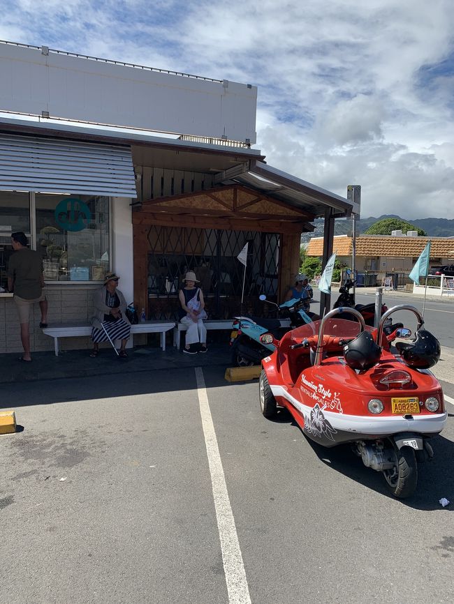 暑いので、日陰で待ちます。<br />そろそろかな～と思ってバス停前で待ってましたが、全然来ません。時間前に着いてるので乗り遅れることはないはず。しかし、10分経っても来ません(＞＜)それからさらに、10分待っても来ないので、トロリーは諦めて歩いて帰る事にしました。<br />レインボートローリーの時刻表を確認してから来てるのに何故来なかったのか、今だに不思議です。