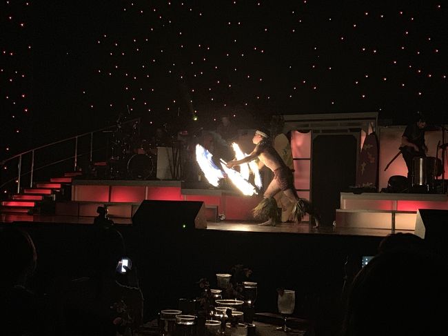 ファイヤーダンスは迫力がありました。