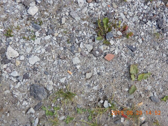 リーガル・プリンセス号　バルト海周遊クルーズ<br />エストニア・タリン港