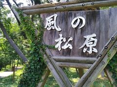 知らなかったよ能代その5。

日本最大規模の防砂林・風の松原がある。

江戸時代から植林が始まり、現在に至る。
