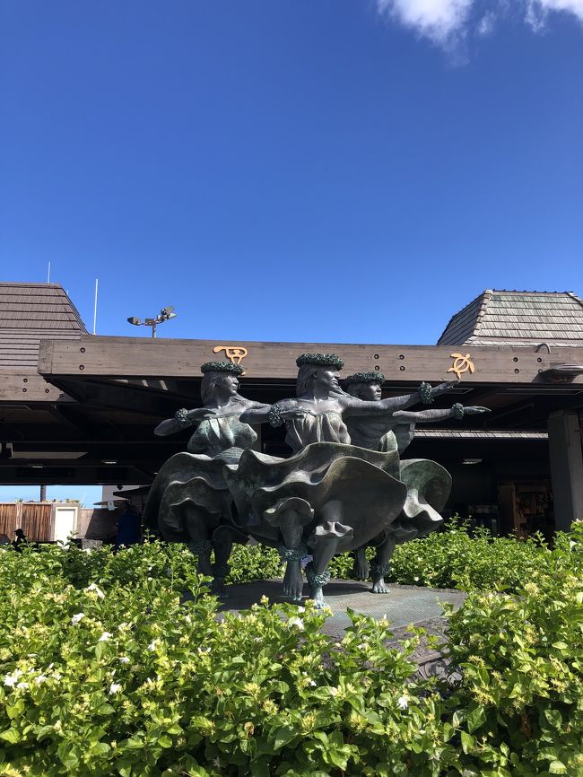 楽しかったハワイ島！<br />次はオアフ島に出発！