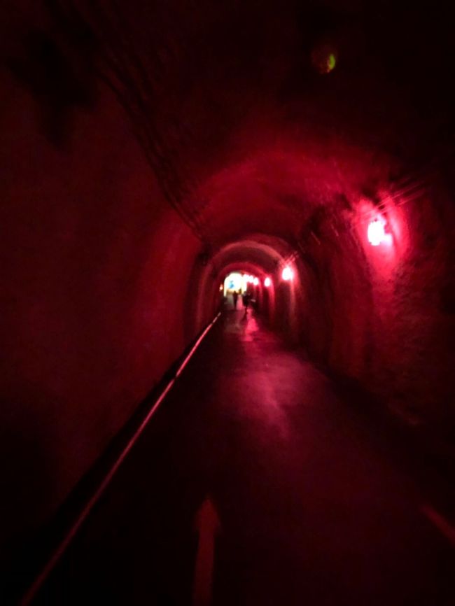 こちらは赤い照明が。