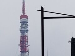 ではホテルへ向かいましょう
駅舎を出ると正面に東京タワーが見えてきました
小さいころに昇ったらしいのですが
覚えているのは併設の蝋人形館が怖かったことくらい(^▽^;)