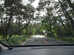 糸島を出発し一路本日の宿泊地唐津へ。
虹の松原を通り抜けていきます。
