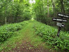 続いてタウシュベツ川橋梁を見ることが出来る展望台に向かう。
駐車場から徒歩で約７～８分