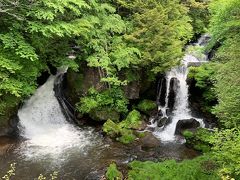 男体山の噴火によってできた溶岩の上を210メートルにわたって流れ落ちる滝。幅10mほどの階段状の岩場を勢いよく流れる渓流爆。滝つぼ近くが大きな岩によって二分され、その様子が竜の頭に似ていることからこの名がついたといわれています。5月～6月は赤紫色のトウゴクミツバツツジが咲き誇るオススメの季節。また9月下旬ごろからは紅葉の名所として人気が高く、モミジやシナノキなどに彩られた美しい景観が楽しめます。