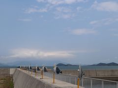 女木港に到着すると、防波堤に並ぶカモメたちがお出迎えです。