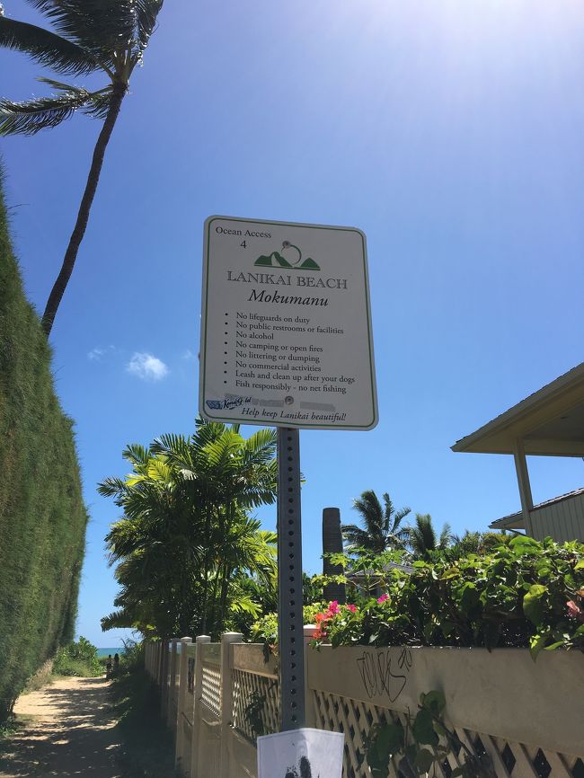 車道からビーチへアクセスする小道がいくつかありますが今回は4番の道から。