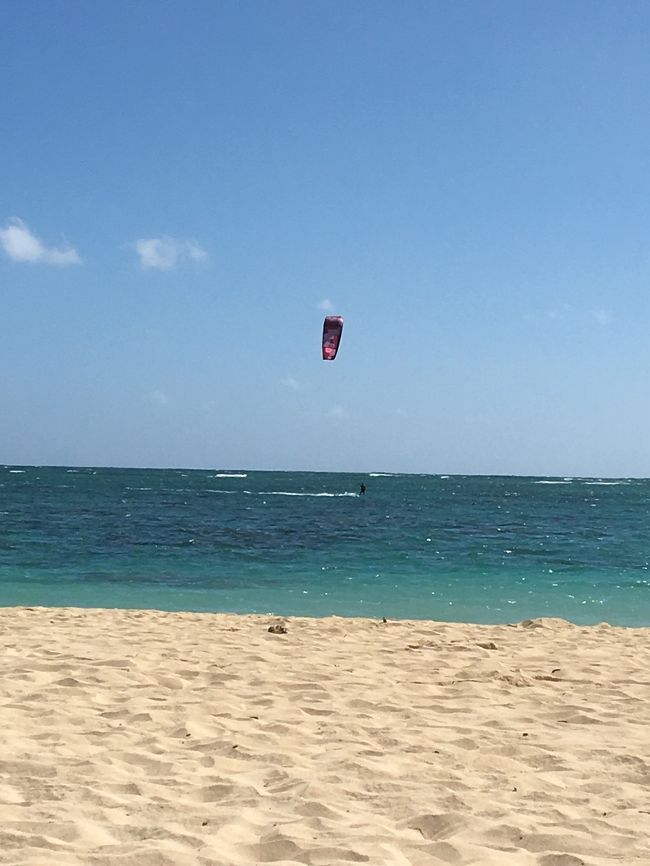 気持ち良さそうです。ビーチには何もありません、1時間くらいの日光浴でビーチを後にしました、暑かった。