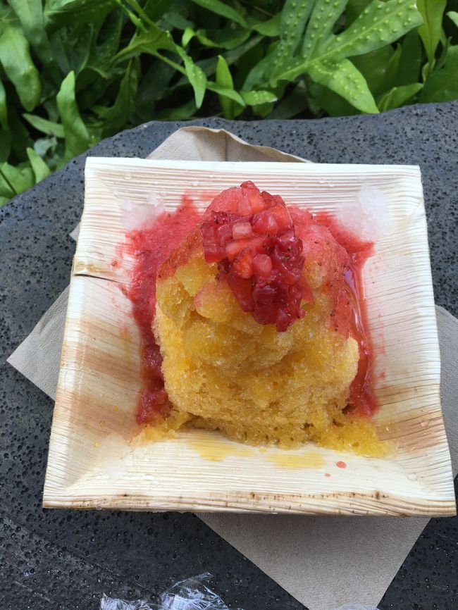 ロイヤルハワイアン センターをブラブラして、おやつにカキ氷を。