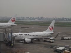 2019年7月13日

今年も海の日の祝日の3連休は沖縄へ行くさぁ。

でも、まだ東京はどんより梅雨空。
沖縄は晴れてますように。