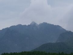 奥社から中社までの山道風景